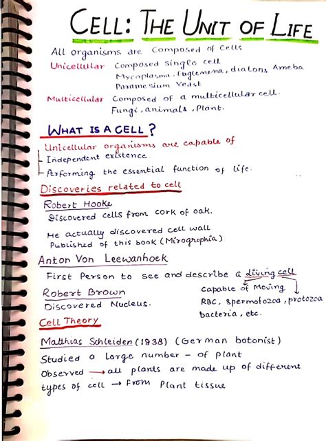 Cbse Class 11 Biology Handwritten Notes By Kota Jigssolanki - Riset