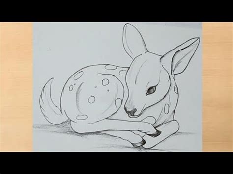 Animals Easy Deer Pencil Drawing - bmp-clown