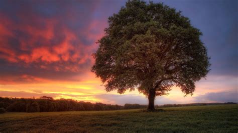 Sfondi : luce del sole, paesaggio, tramonto, collina, natura, cielo, campo, Alba, sera, mattina ...