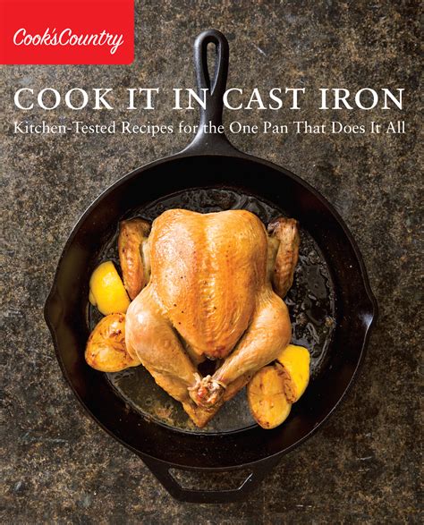 Cook It in Cast Iron: Kitchen-Tested Recipes for the One Pan That Does ...