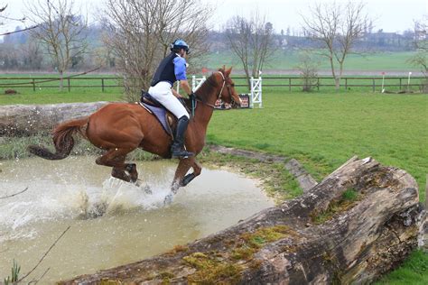 #RedHawkRupert, #GB_thoroughbred, jumping training, at his first ever ...