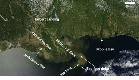 Study area identifying locations of bird-foot delta and Southwest (SW)... | Download Scientific ...