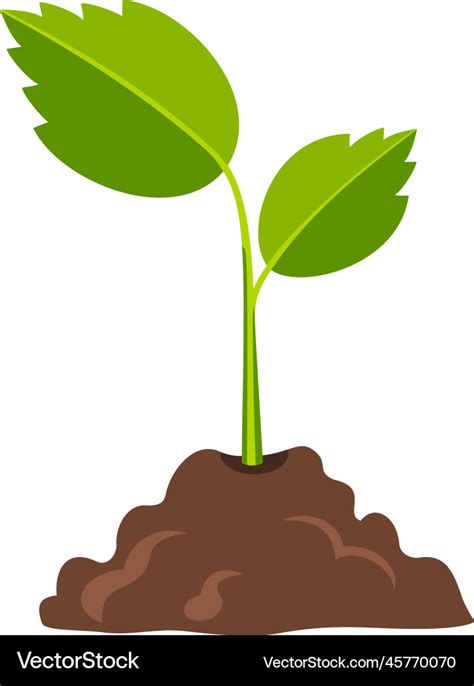 Growing plant icon cartoon nature seedling Vector Image