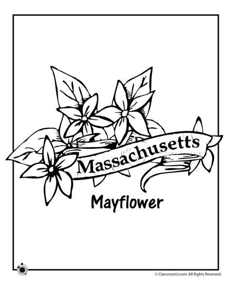 Massachusetts State Flower Coloring Page | Woo! Jr. Kids Activities