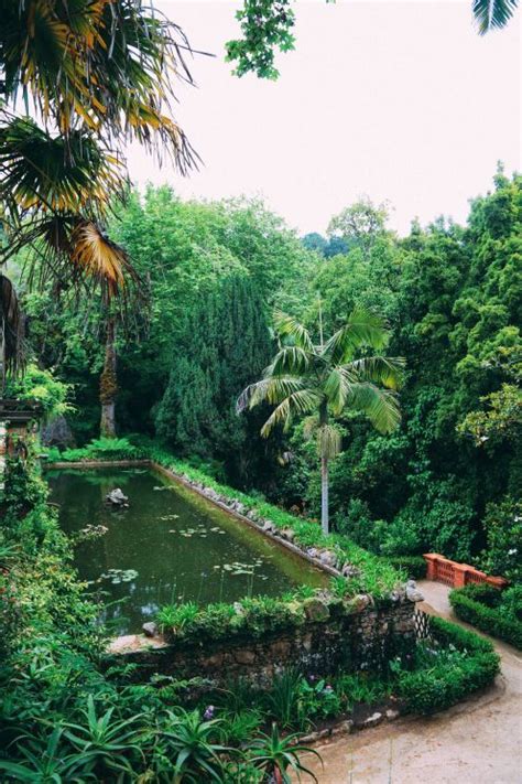 Exploring monserrate palace in sintra portugal – Artofit