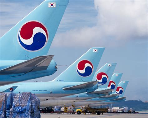 Korean Air introduces cargo SAF programme | Biofuels International Magazine