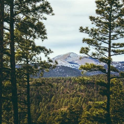 Lincoln National Forest - Hiking Trail