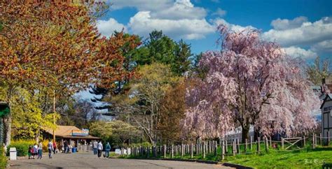 About - Connecticut's Beardsley Zoo