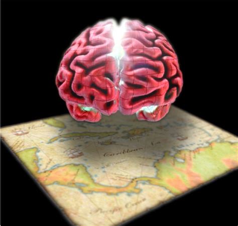 About the Cuban Human Brain Mapping Project (CHBMP) | Research Communities by Springer Nature