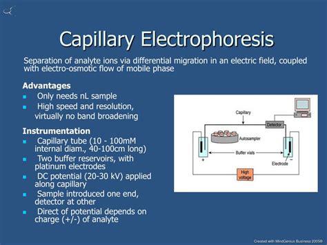 Capillary Gel Electrophoresis