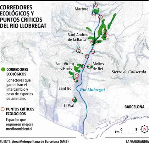 El río Llobregat se examina a fondo por primera vez