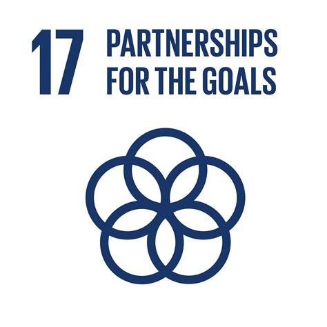 Sdg 17 / SDG 17: Partnerships for the goals - Kate Holt - Developed ...