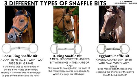 3 Different types of Snaffle Bits | Horsemanship, Pony club, Snaffle bit