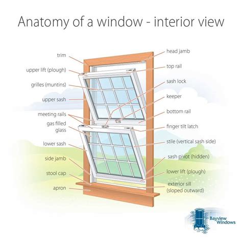 The Ultimate Guide to Understanding Pella Double-Hung Window Parts ...