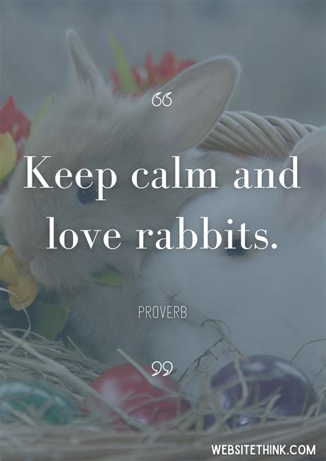 73+ Cute & Cuddly Quotes About Rabbits! 🥇[+ Images!]