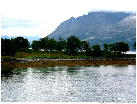 Fjords. (Photo ID 10428-tromsosl)