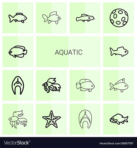 Aquatic icons Royalty Free Vector Image - VectorStock