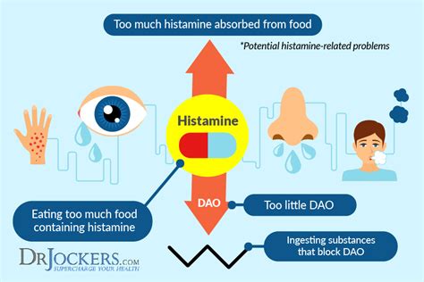 Are You Suffering From Histamine Intolerance? - DrJockers.com