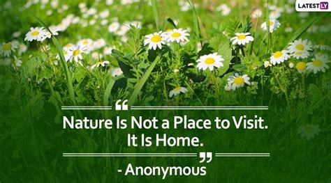 Embracing Nature's Poetry: Inspiring Greenery Quotes to Enliven Your Soul