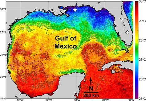 Water Temperature Gulf Of Mexico Map - Map