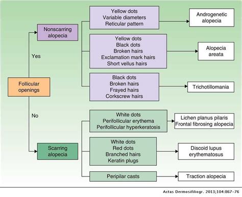 Hair and Scalp Evaluation: The Trichogram | Actas Dermo-Sifiliográficas