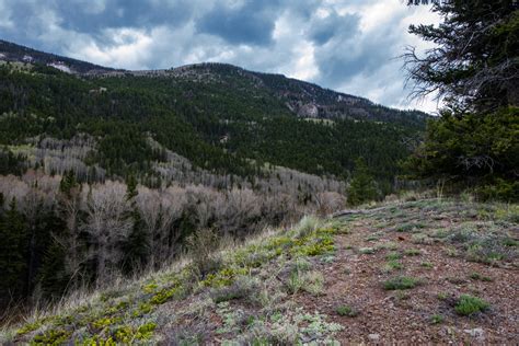 Rio Grande National Forest, a Colorado State Forest