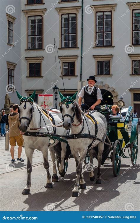 Famous Lipizzaner Horses and Carriage on the Street in Vienna, Austria ...