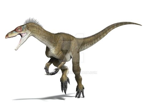 Facts About Eoraptor, the World's First Dinosaur