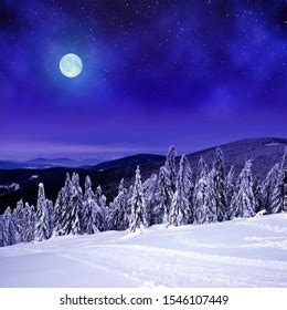 Snowy Winter Night Stunning Night Landscape Stock Photo (Edit Now) 1167978190