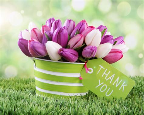 Thank You Images With Flowers / Lettering Thank You Flowers Modern ...