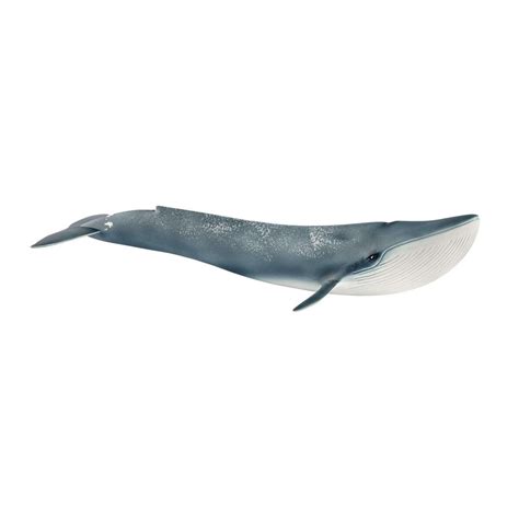 whale shark toy schleich - Near Grand Weblog Photographs