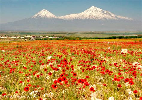 Ararat – FindArmenia