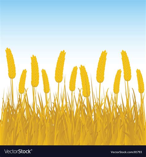 Harvest background Royalty Free Vector Image - VectorStock