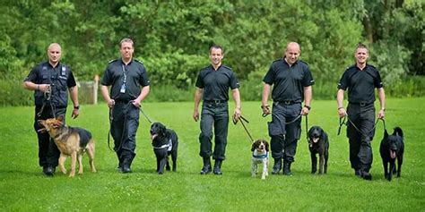 Police Dog Training Tricks YOU Can Use | Rottweiler Life