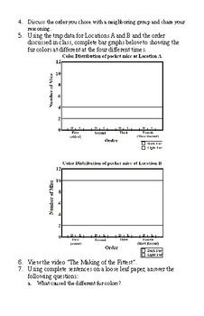 Rock Pocket Mouse Microevolution Student Handout by Matthew Butters