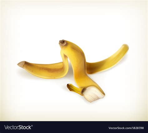 Banana peel Royalty Free Vector Image - VectorStock