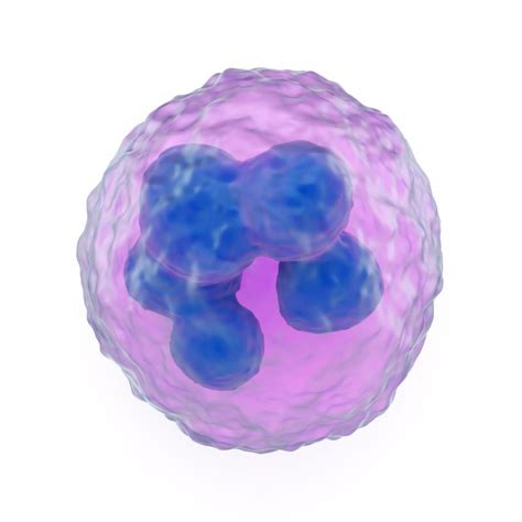 What is the Reticuloendothelial System? (with pictures)