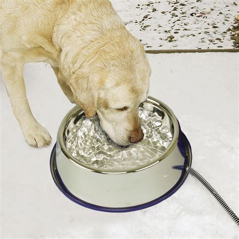 K&H Thermal-Bowl™ - Heated Dog Water Bowl — K&H Pet Products