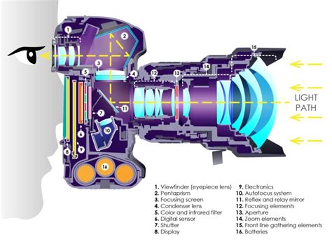 What is a DSLR Camera? | PetaPixel