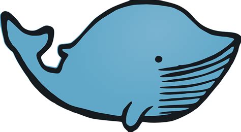 Whale Animal Cartoon · Free vector graphic on Pixabay