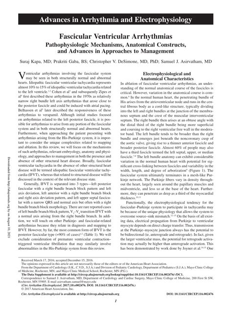 (PDF) Fascicular Ventricular Arrhythmias: Pathophysiologic Mechanisms, Anatomical Constructs ...