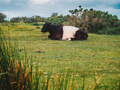 The Hurlers Stone Circles On Bodmin Moor - The Amazing Legend, History ...