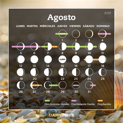 Calendario Lunar Agosto 2019 - calendario mar 2021