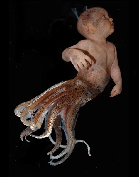 Squid Baby by almaxaquotal on DeviantArt