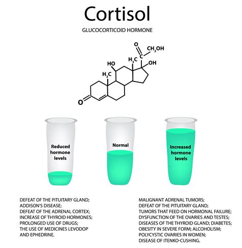 Too high cortisol level and how to deal with it