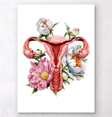 Uterus anatomy - Floral - White | Anatomy art, Uterus art, Art prints