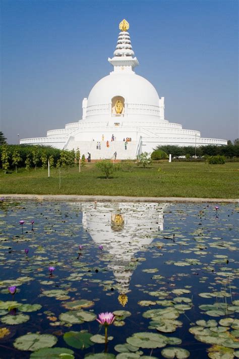 World Peace Pagoda Lumbini | Wonderful places, Wonders of the world, Travel around the world