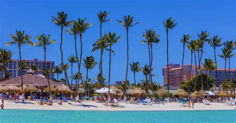 Aruba Cruise Excursions: Top 5 Must-Do Activities On The Island