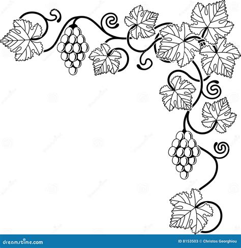 Grape Vine Border Design Cartoon Vector | CartoonDealer.com #34536365