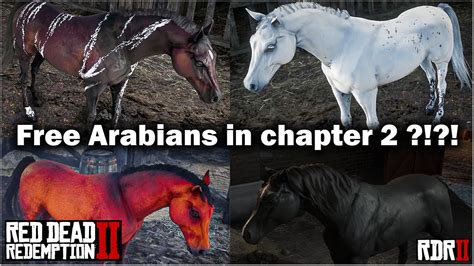 Four free Arabian Horse in chapter 2 in Red Dead Redemption 2 in 2021 - Black Arabian, RDR2 ...